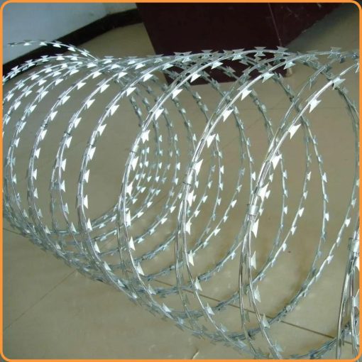 Dây Thép Gai Chống Trộm